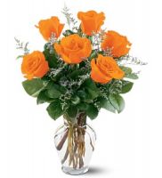 6 Orange Roses