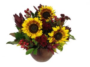Beautiful Burgundy Sunflowers