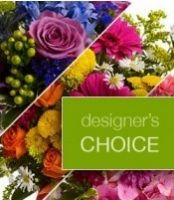 Designer's Choice