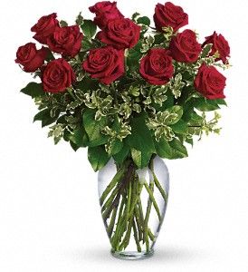 Dozen Long Stemmed Red Roses 