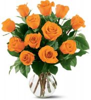Dozen Long Stemmed Orange Roses