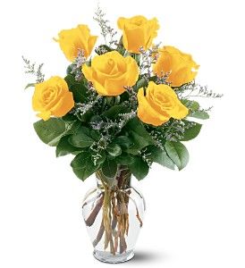 6 Yellow Roses 