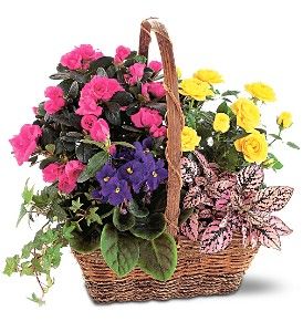 Blooming Garden Basket 