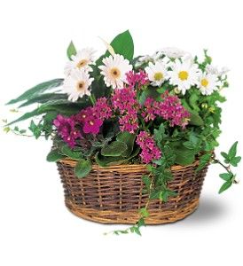 Traditional European Garden Basket