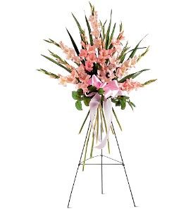 Sentimental Gladioli Spray