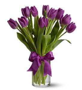 Purple Tulips