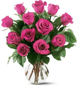 12 Hot Pink Roses