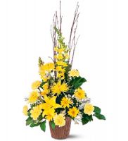 Brighter Blessings Arrangement