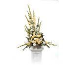 Pedestal Arrangement CTT39-21