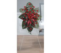 Standing Spray CTT26-11