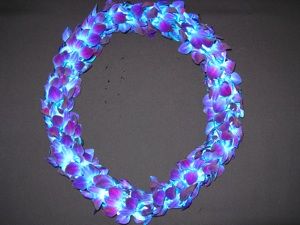 Double Bombay Tinted Blue Orchid Lei