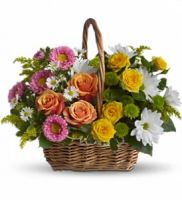 Sweet Tranquility Basket