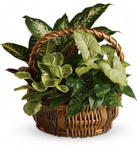 Emerald Garden Basket