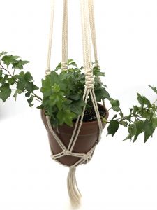 Macrame Hanger with Plant