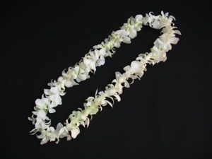 Single White Orchid Lei