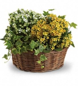 Basket of Joy