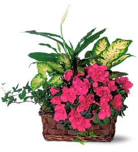 Azalea Attraction Garden Basket