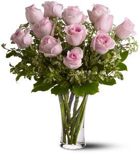 12 Pink Roses