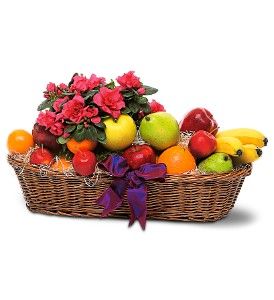 Plant and Fruit Basket