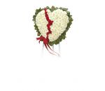 Broken Heart CTT24-11