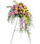 Pastel Crescent Spray