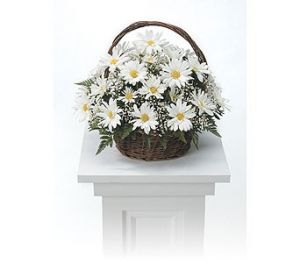 White Daisy Basket