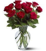 12 Red Roses