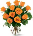 12 Orange Roses
