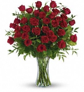 3 Dozen Long Stemmed Roses