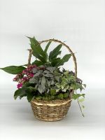 Plant Garden in Basket